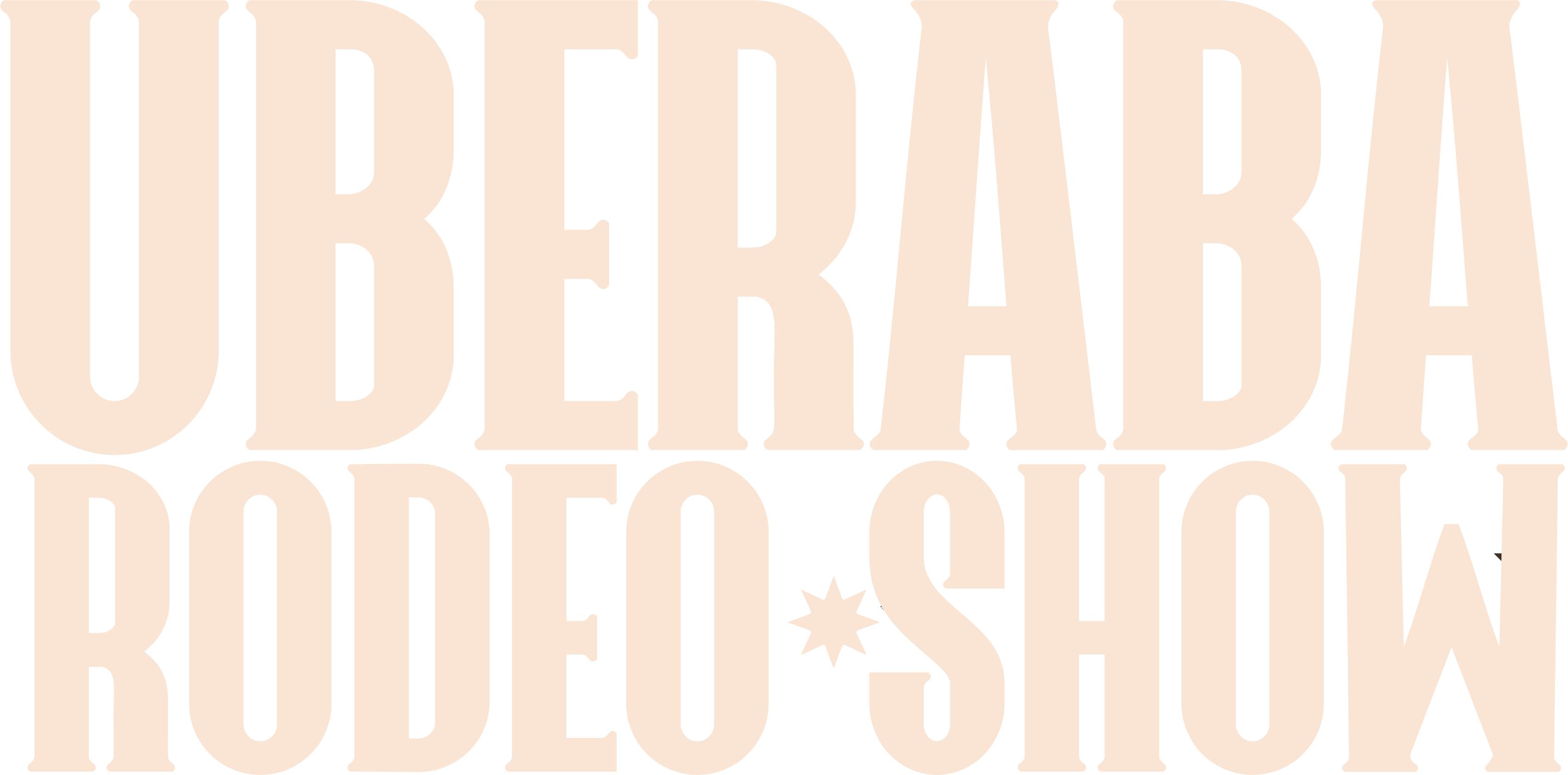 Uberaba Rodeo Show